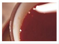 免费cc攻击测试